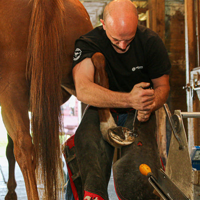 A man cleaning a horses hoof
