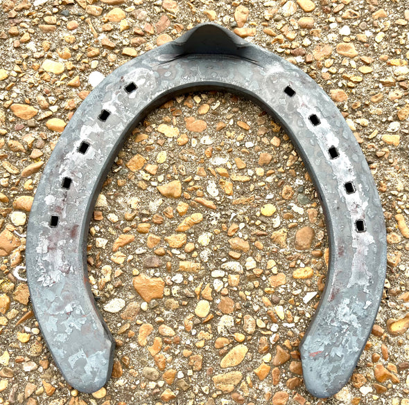 Draft Shoes Clipped Horseshoes