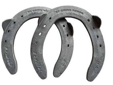 Eventer Clipped St Croix Horse Shoes