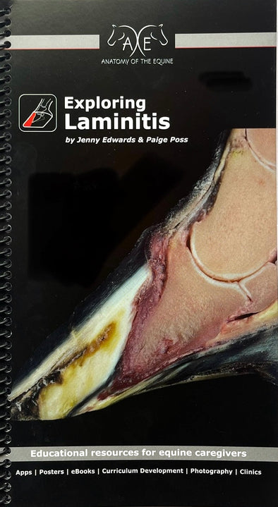 Exploring Laminits