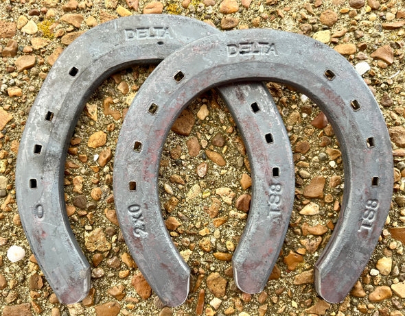 Delta TS8 Challenger Flat Horseshoes