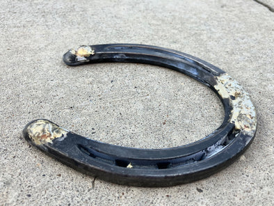 Drill Tec Dressed Lite Plain Horseshoes